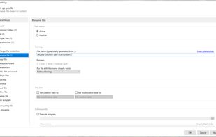 Profile settings - use extracted data for the file name