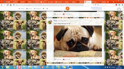 Profile page, with custom background feature.