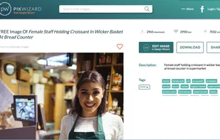Pikwizard screenshot 2