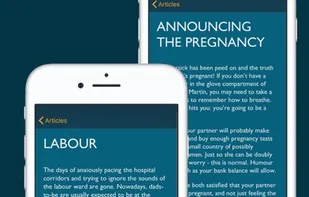 The Big Daddy screenshot 1