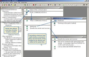 BrainStormWFO screenshot 2