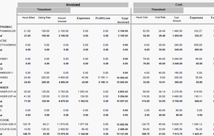 Project performance report