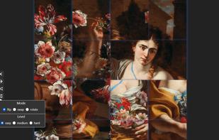 Image Puzzle Tiles screenshot 1