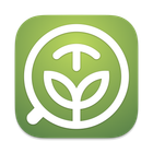 Machato icon