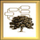 Ancestral Quest icon
