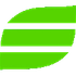 Salix  icon