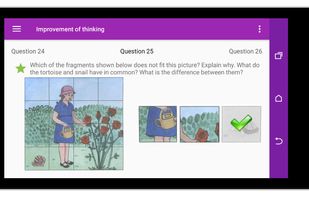 You could use the app in landscape mode