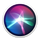 Siri Icon