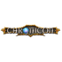 Chronicon icon