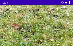 Cryptocam screenshot 1