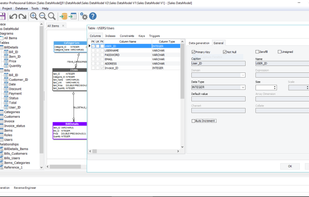 SB Data Generator's intuitive GUI provides a simple way to visualize the data model to understand the schema before populating the database with test data.
