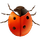 Coccinella icon