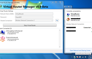 Virtual Router Settings