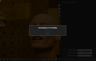 Source Player screenshot 1