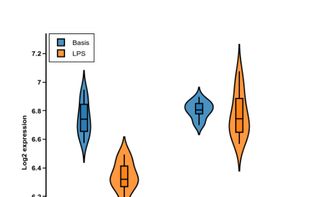 Violin plot