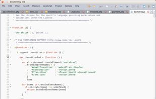 JavaScriptEditor