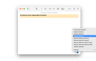 NotesOllama screenshot 1