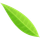 Fontea icon