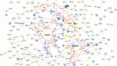 Network visualization generated by Tabnetviz.