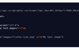 ScrapingFox screenshot 1