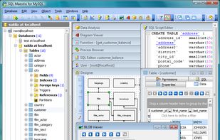 Classic MDI Interface