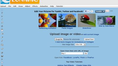 ezgif.com: Ezgif.com is simple online gif maker and toolset for basic animated  gif editing.