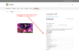 Gift Card For Magento 2 screenshot 2