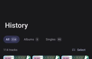 SpotiFLAC Mobile screenshot 2