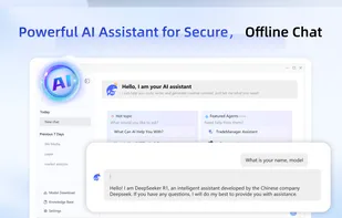 DS AI Chat screenshot 3