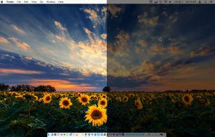 Desktop Shades screenshot 1