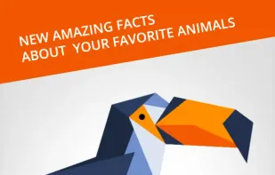 Cardinal Land screenshot 3