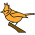 whoBIRD icon