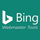 Bing Webmaster Tools icon