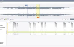 Resonic Player screenshot 1