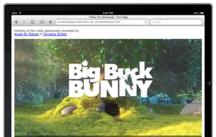 Video for Everybody screenshot 1