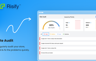 Risify's Site Audit Feature