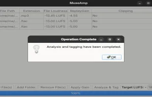 MuseAmp screenshot 2