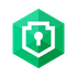 SecureBridge icon