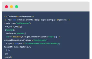Qualaroo screenshot 2