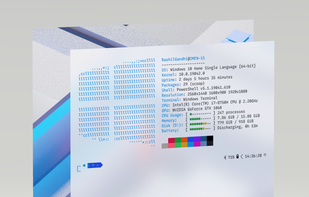 Winfetch by Kiëd Llaentenn screenshot 1