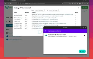 Version history opened in browser & file sync app in foreground.