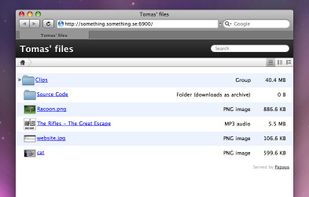 Anyone with a web browser can download your files — no special software needed.