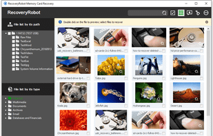 RecoveryRobot Memory Card Recovery - Thumbnail View