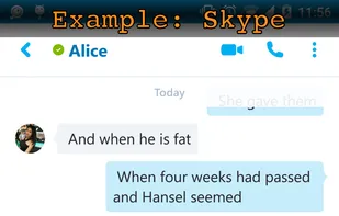 Example Skype