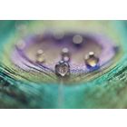 Featherlight.js icon