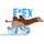 F*EX (Frams' Fast File EXchange) icon