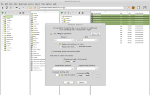 Mass renaming dialog