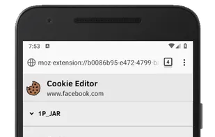 Cookie-Editor screenshot 2