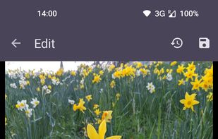 Bunny Media Editor screenshot 2