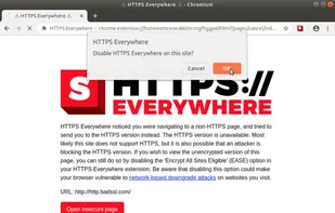 HTTPS Everywhere screenshot 3